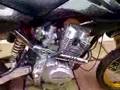 videos de pitbike red baron purring