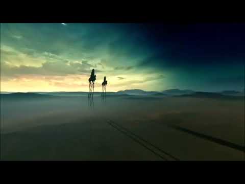video-show
