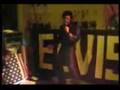 ELVIS HOW WEB WAS WOVEN STEVE VAN DER VALK TRIBUTE ARTIST