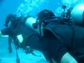 Cursos Buceo en Koh Tao