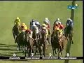 2003 Caulfied Cup- Mummify 2003 Caulfied Cup- Mummify