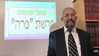 פרשת כי תשא – הנסיון של שלמה המלך להבין את “סוד פרה אדומה” – הרב ינון קלזאן