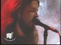weichafe - tierra oscura del sol -