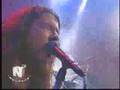weichafe - tierra oscura del sol -