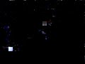 green_beetle_edis_drive.mov