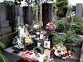 桜桃忌(三鷹禅林寺)太宰治墓参2008.6.19