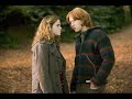 Harry Potter Chat room #1 Harry Potter Chat room #1