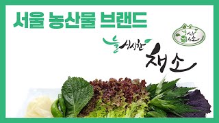서울 농산물 브랜드 [늘싱싱한채소] 썸네일