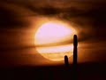 el sol esta a punto de morir discovery channel [HQ]