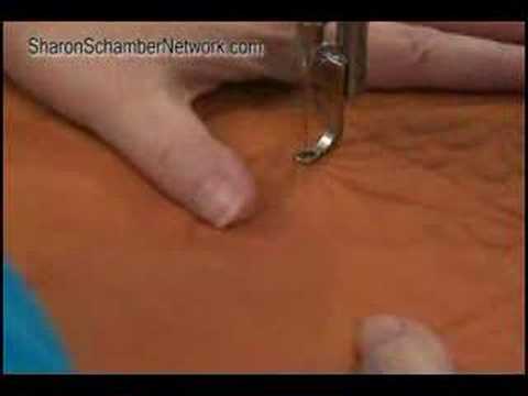 Domestic Quilting: Feathers - ...