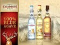 Cazadores Consumer Loop