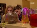 Stefanovics Ang�la - Az aranyhal