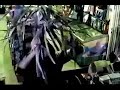 Click here to watch this video Hold up insolite