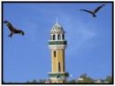 Urdu Poem - Apnay Des Mein