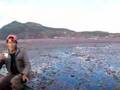 NAXI FISHMEN, FRIEDSHIP SONG,FROM YUNNAN CHINA