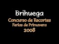 Concurso de recortes en Brihuega 2008
