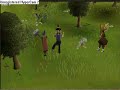 how noobs came to runescape