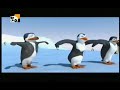 Dança Do Pinguim