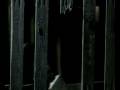 pennine film festival trailer