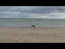 newton by the sea northumberland