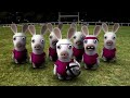 Rayman Raving Rabbids 2 #Ragby