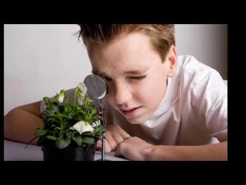 how to assess inquiry based learning