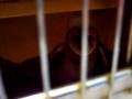 videos de pw 030.MOV