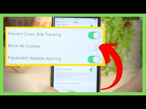 video-linktoworks-How To Enable Cookies on iPhone/ iPad [BEST] 🥇🍪