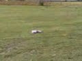 bomba salfumant en caleruega