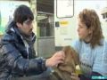 O programa da TVG Criaturas fixo unha visita a O Refuxio de Bando (Santiago), Protectora de Vilagarcía e Proyecto Gato (Vigo). Aclaración importante: Os Centros de acollida municipáis poden estar xestionados por protectoras ou non.