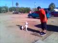videos de 045