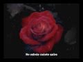 - Juan_Shaman_Difusa_acaso_un_ocaso.wmv Ver Video