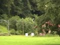 1659 alsthom feve cavada lierganes tren train railway leyenda cantabria