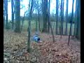 Huge Face Plant off of Tree Stand