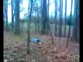 Huge Face Plant off of Tree Stand