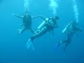 Plong�e � Bunaken - Sulawesi