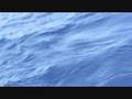 Swordfish Fishing the... :: Swordfish Fishing the Florida Keys aboard the Native Sun View Video