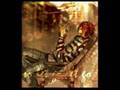 Death Note Bishie Slideshow- SexyBack