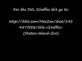 Giraffes