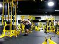 Bent Over Rear Delt Cable Raises