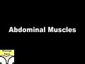 Trigger Points Abdominals