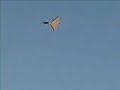 X-31 Park Jet