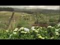 Agrotourism