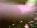 Thumbnail #2