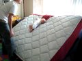 Griffin Playing on the mattress