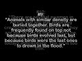 40 Kent Hovind Lies Part 1 (Re: The Kent Hovind Challenge)
