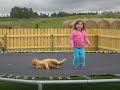 Cat loves to bounce!?