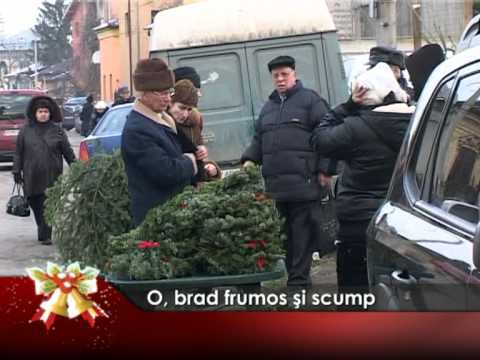 O, brad frumos şi scump