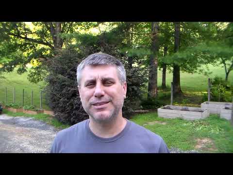 I woke up to a nightmare….Further proof financial collapse is happening