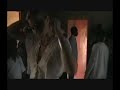 Fete Togo African Education Initiative, Afrique de l'Ouest